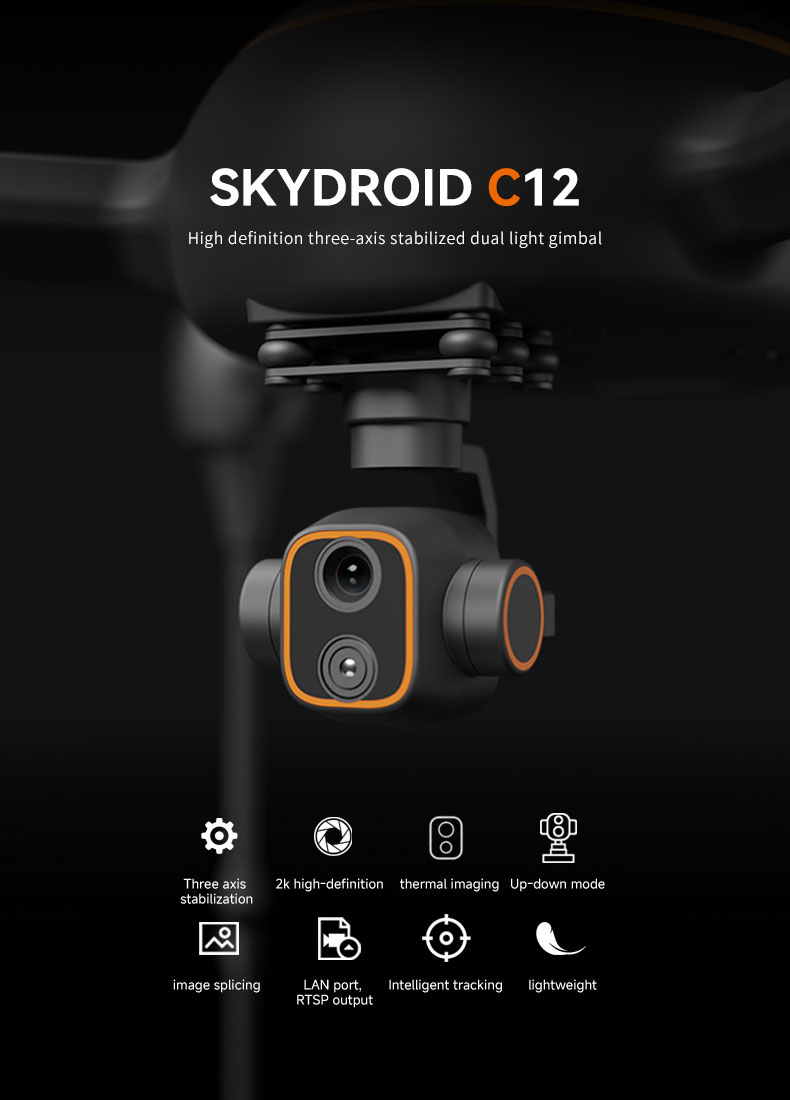 C12 detail 1