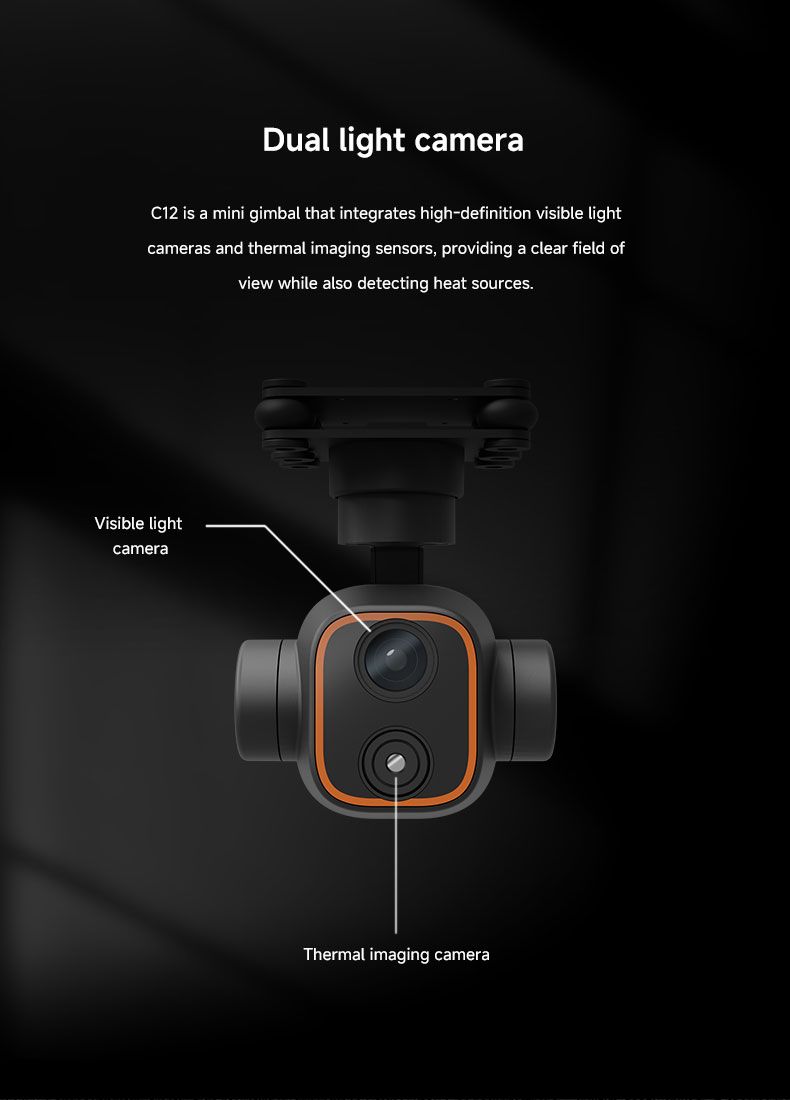 C12 detail 2